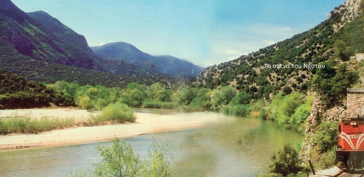 Tetyk Keramoti Hotel Apartments Dış mekan fotoğraf